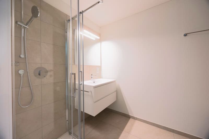 Nouveaux Appartements de 4.5 Pièces avec Jardin - Résidence Ai Giardini (7)