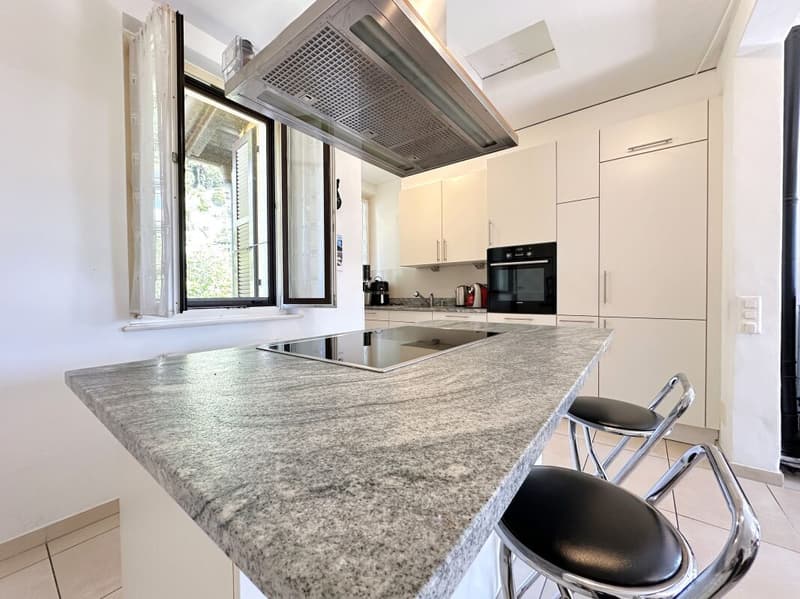 Lovely single-family home with Rental Apartment in Solduno (4)
