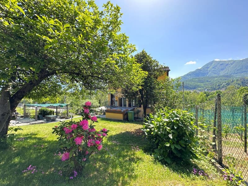 Lovely single-family home with Rental Apartment in Solduno (11)