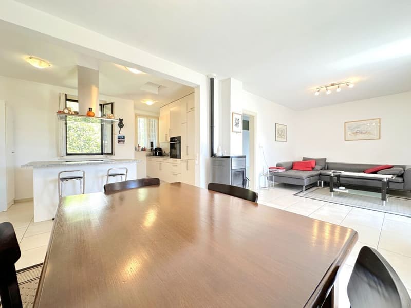 Lovely single-family home with Rental Apartment in Solduno (3)