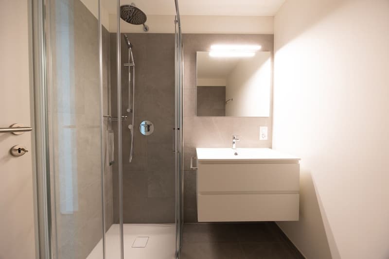 Nuovi 4.5 Locali con giardino - Residenza Ai Giardini (11)