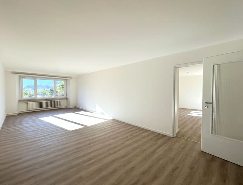 Beautiful 3.5-room apartment on the 1st floor in the heart of Tegna (3)