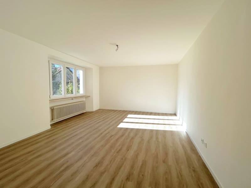 Beautiful 3.5-room apartment on the 1st floor in the heart of Tegna (6)
