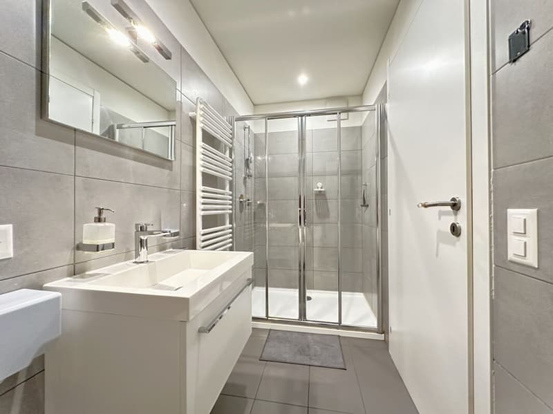 Elegant and modern 3.5-room apartment in a central location (8)