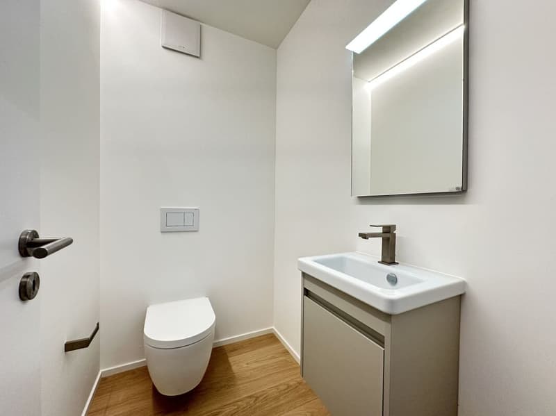 Habiter de manière prestigieuse à Minusio dans la Residenz Estate & Esplanade (14)