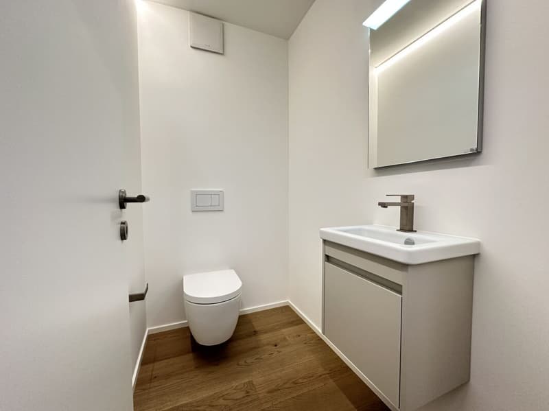 Vivere il prestigio a Minusio nella residenza Estate & Esplanade (11)