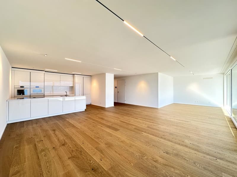 Vivere il prestigio a Minusio nella residenza Estate & Esplanade (1)