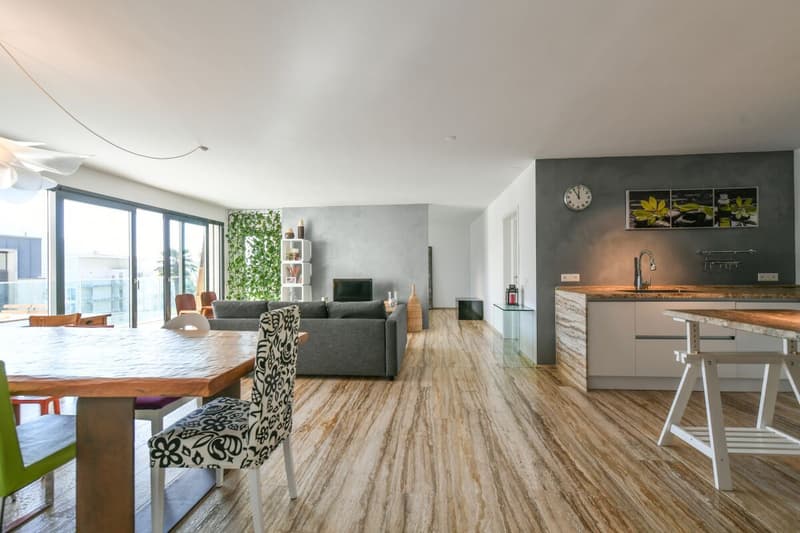 Bellissimo 3.5 locali moderno con parziale vista lago (1)