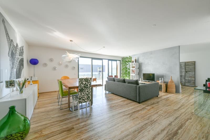 Bellissimo 3.5 locali moderno con parziale vista lago (7)