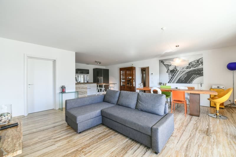 Bellissimo 3.5 locali moderno con parziale vista lago (4)