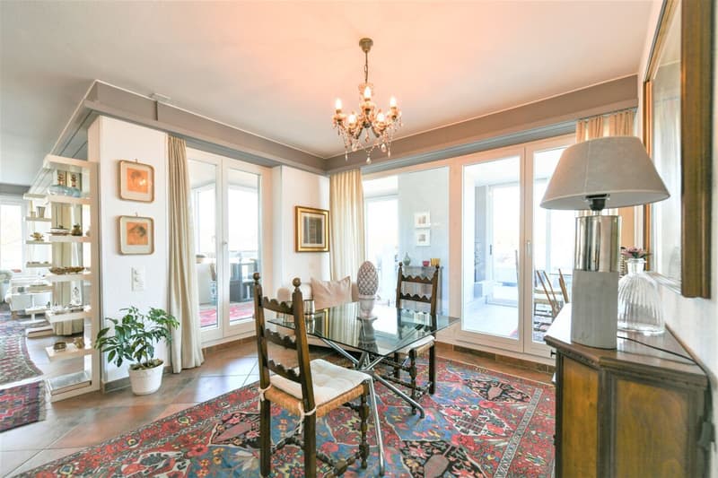Magnifique penthouse avec vue sur le lac (6)