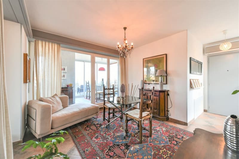 Magnifique penthouse avec vue sur le lac (5)