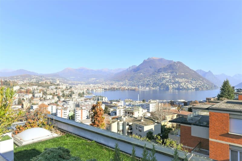 Magnifique penthouse avec vue sur le lac (1)