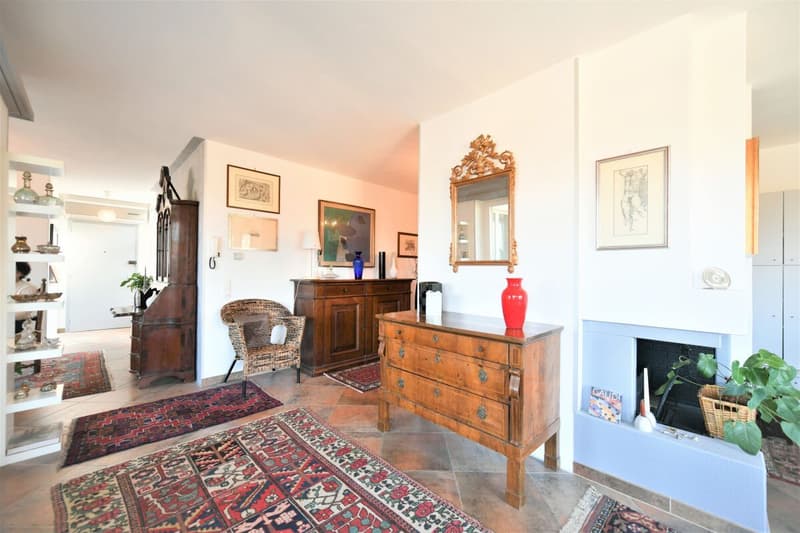 Magnifique penthouse avec vue sur le lac (4)