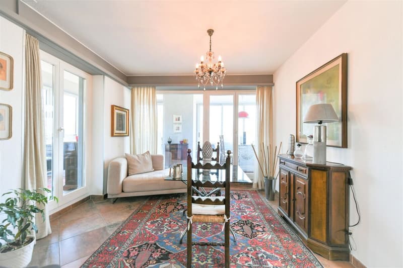Magnifique penthouse avec vue sur le lac (8)