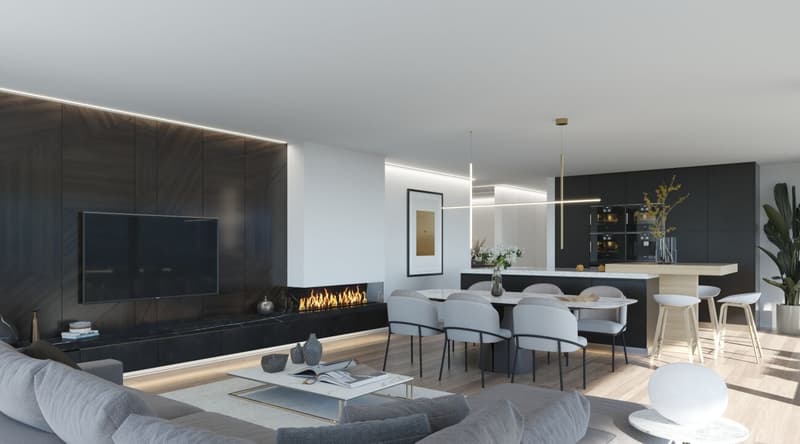 New spacious 2.5-room apartment – Central Park Living (1)