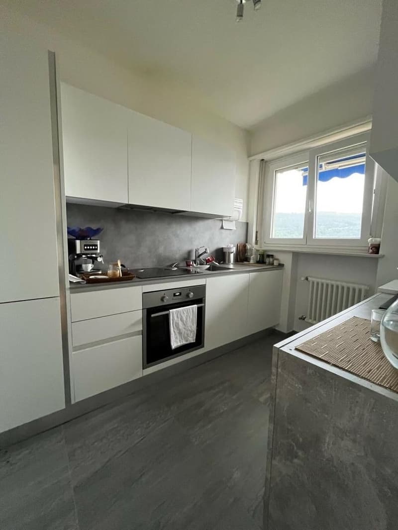 Komfortables Zweizimmerapartment in ruhiger Lage und nahe an allen Dienstleistungen (3)