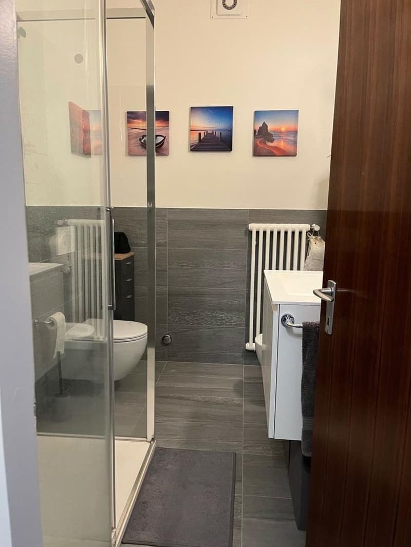 Komfortables Zweizimmerapartment in ruhiger Lage und nahe an allen Dienstleistungen (5)