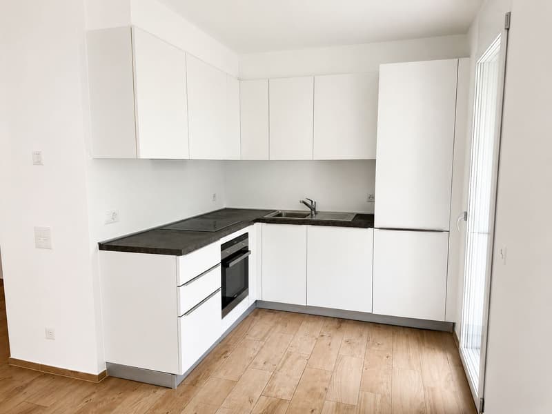 3.5-room apartment with large private garden in Vacallo (3)