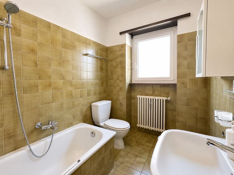 Lugano, spacious apartment just a few steps from the lake and Paradiso (7)