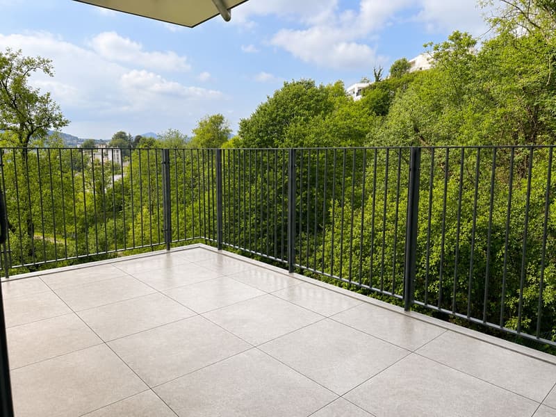 Ampio 2.5 locali con terrazzo abitabile immerso nel verde di Vacallo (3)