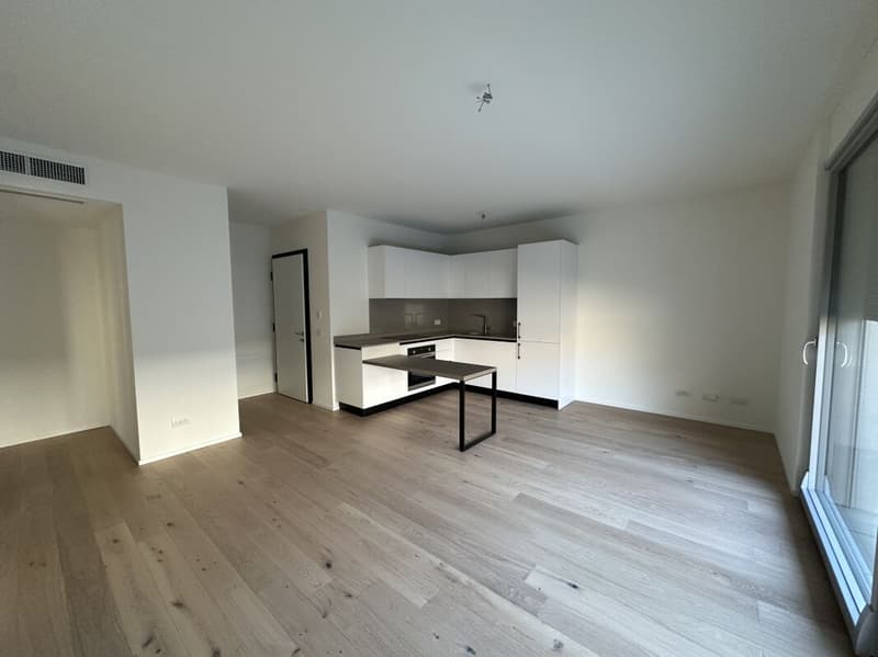 Modern two-room apartment with large garden (4)