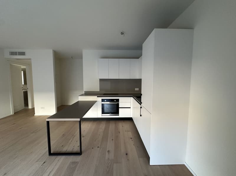 Modern two-room apartment with large garden (3)
