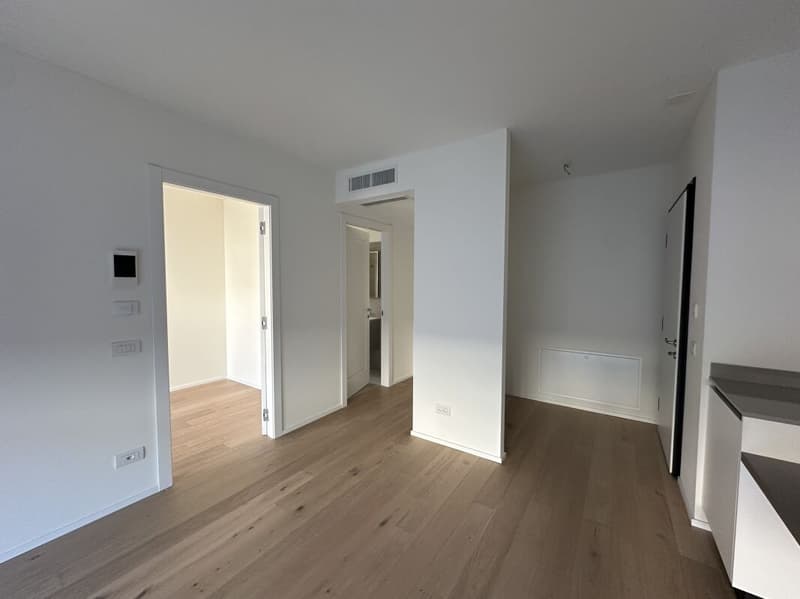 Modern two-room apartment with large garden (5)