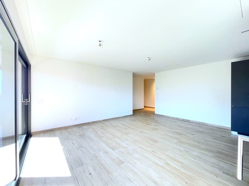 Beautiful 2.5-room apartment in the center of Locarno - Residence 2M (2)