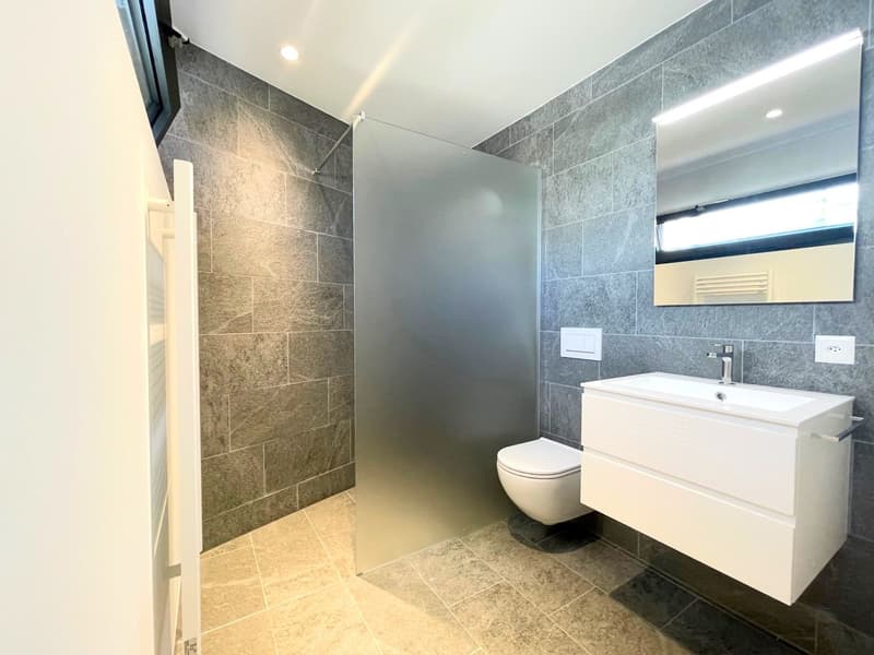 Beautiful 2.5-room apartment in the center of Locarno - Residence 2M (6)