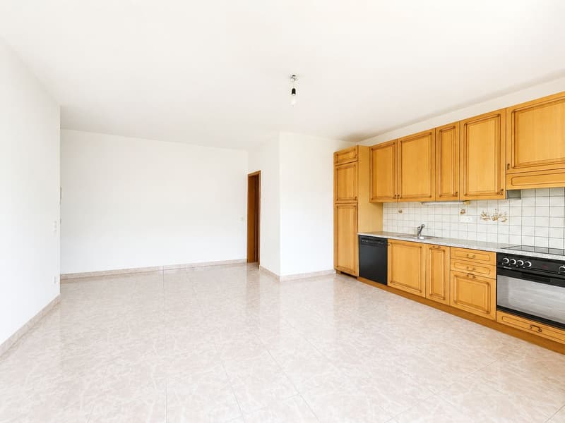 Appartement lumineux de 3,5 pièces dans un quartier calme (4)