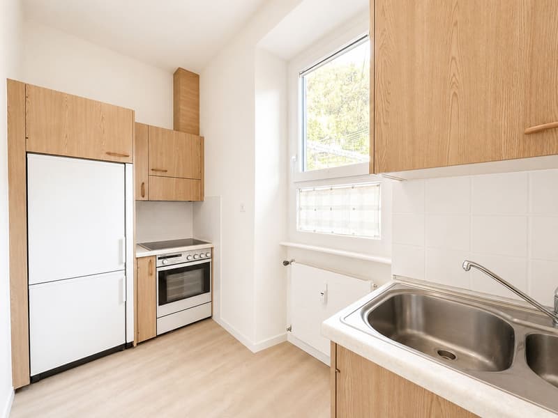 Comfortable 3.5-room apartment just a few minutes' walk from the center of Bellinzona (6)