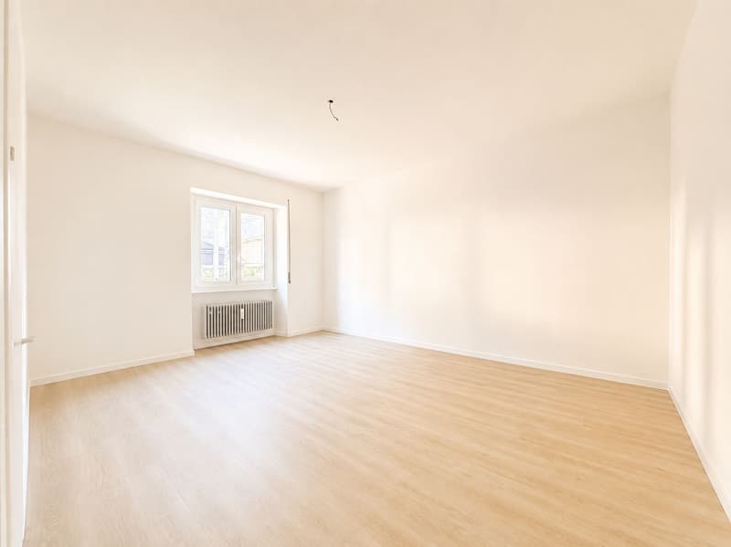 Comfortable 3.5-room apartment just a few minutes' walk from the center of Bellinzona (9)