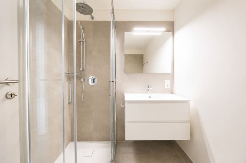 Ultima opportunità 4.5 locali con giardino privato a Gordola (7)