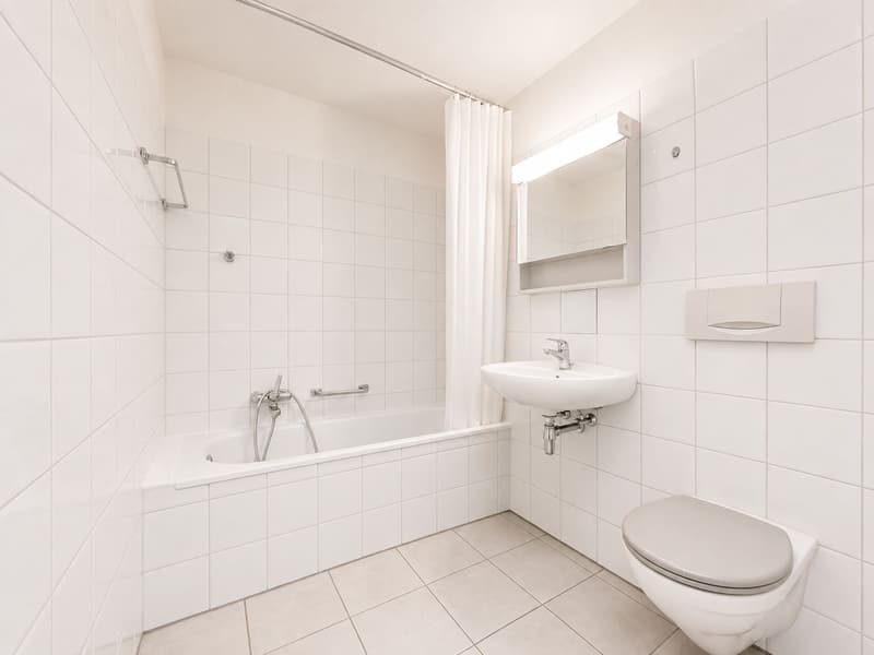 Portfolio of 3 Apartments in the Same Building – Locarno (5)