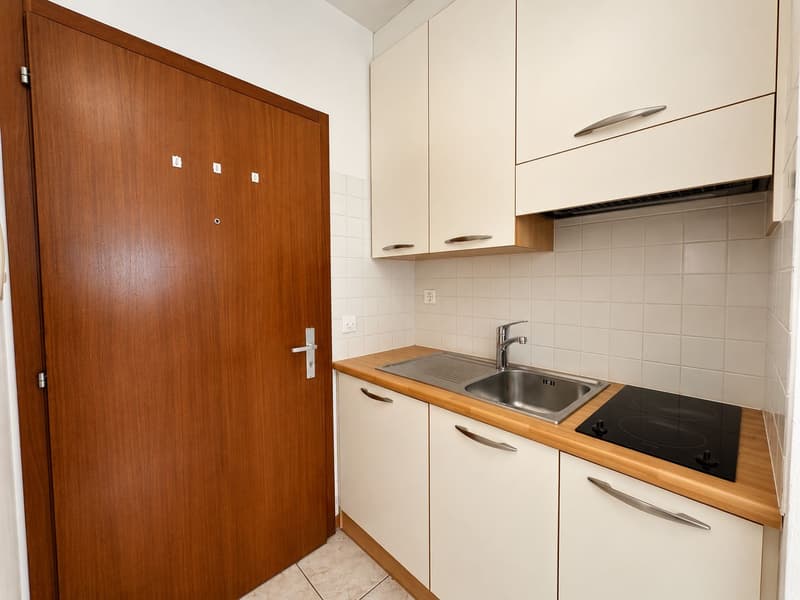 Studio in prestigeträchtiger Wohnanlage mit Garten in Paradiso (3)