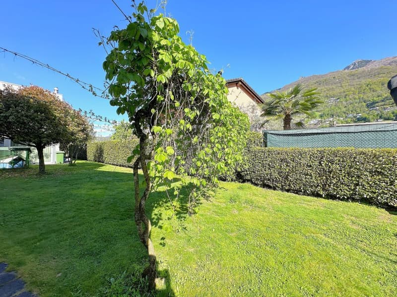 Hochwertiges Einfamilienhaus mit Sauna, Innenpool und Aufzug (12)