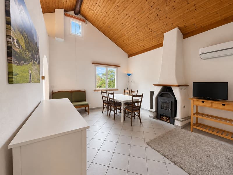 Gordola-Ferienhaus im Grünen mit Weitsicht bis zum Lago Maggiore (5)
