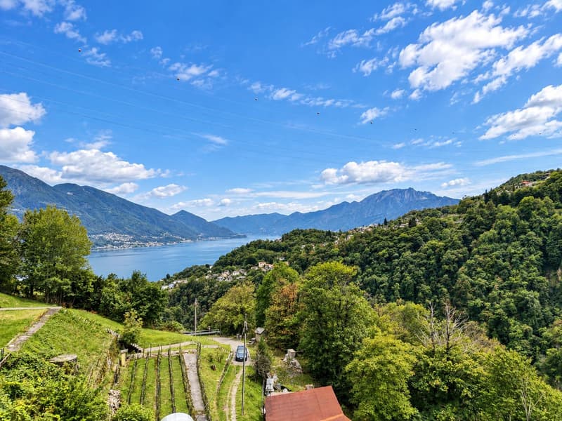 Gordola-Ferienhaus im Grünen mit Weitsicht bis zum Lago Maggiore (1)