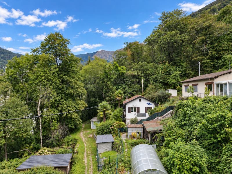 Gordola-Ferienhaus im Grünen mit Weitsicht bis zum Lago Maggiore (2)