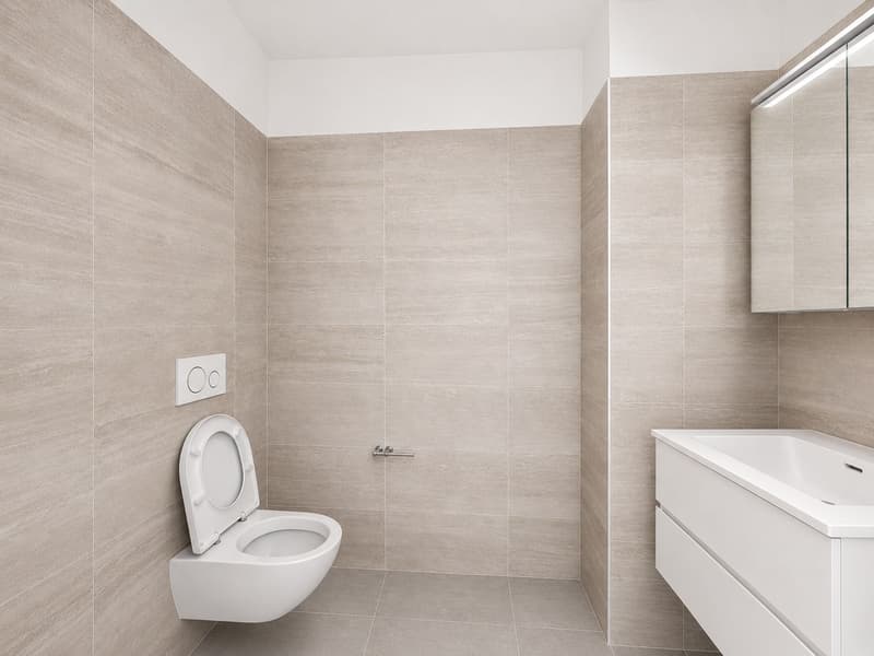 Tolle Gelegenheit: 2,5-Zimmer-Wohnung in Brissago zu verkaufen – Casa Camelia (6)