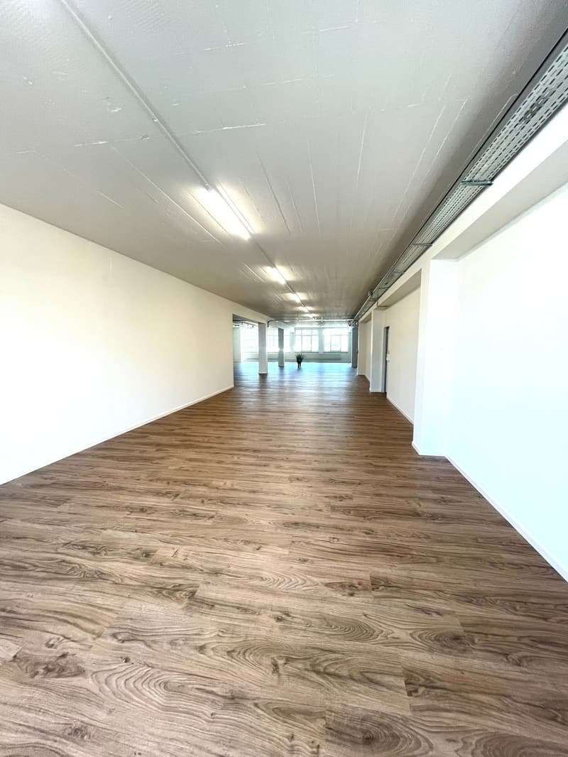 Beaux bureaux spacieux (5)