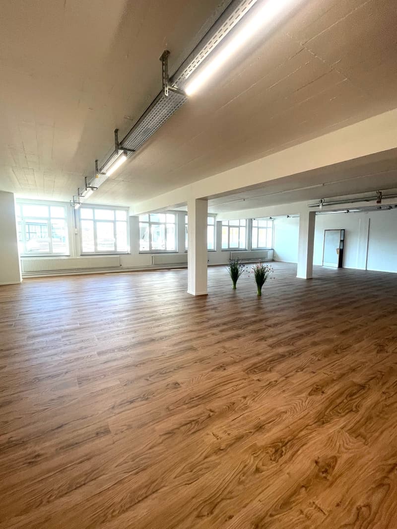 empty room, wooden flooring, white walls, large windows, two flower pots