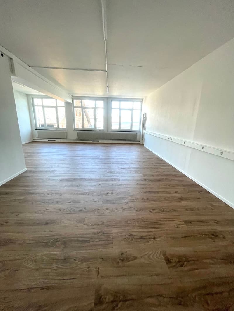 Beaux bureaux spacieux (2)