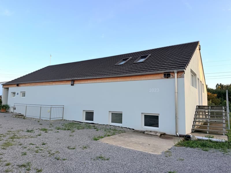Gewerbefläche / Atelier zu vermieten (1)