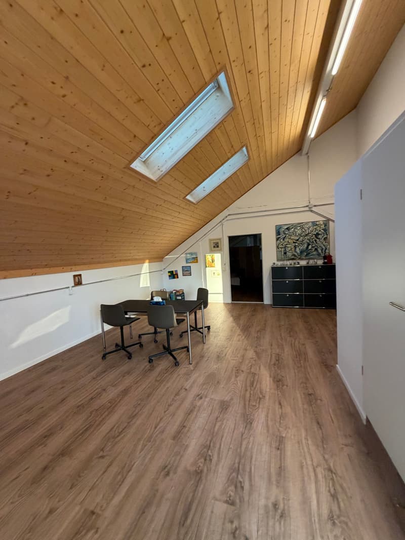 Gewerbefläche / Atelier zu vermieten (4)