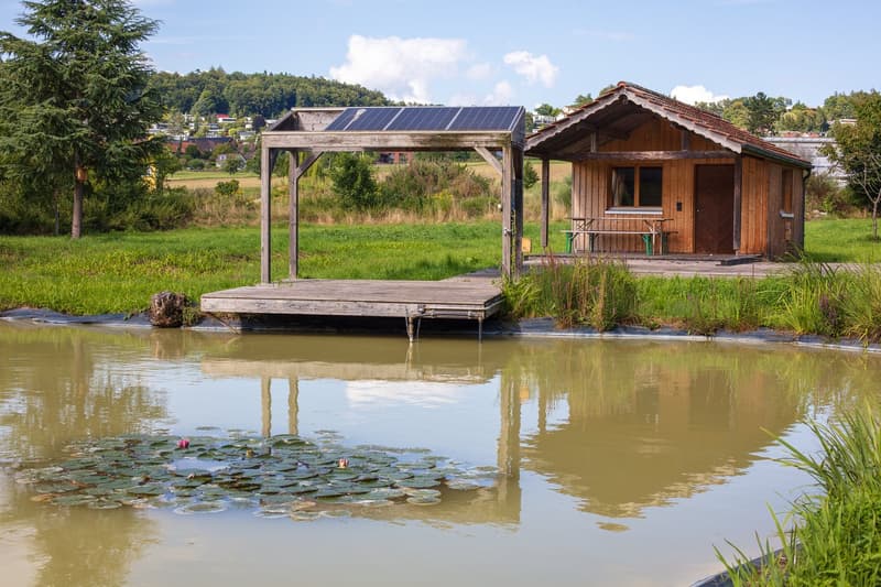 Charmante 4.5 Zimmerwohnung in der Natur (11)