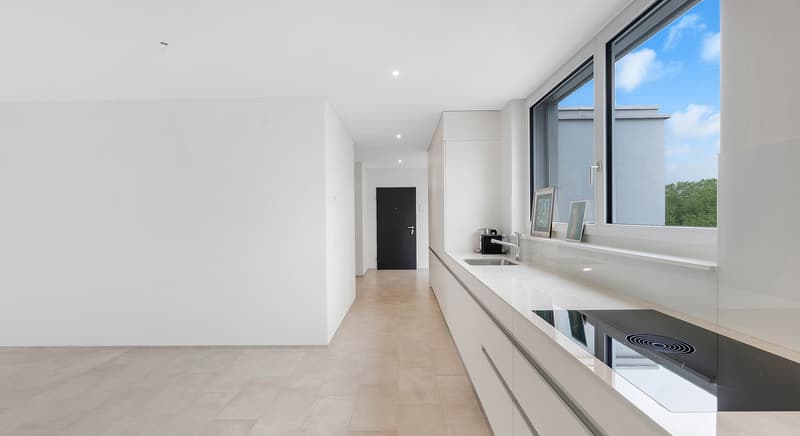 Modern attic apartment with spacious outdoor area (5)
