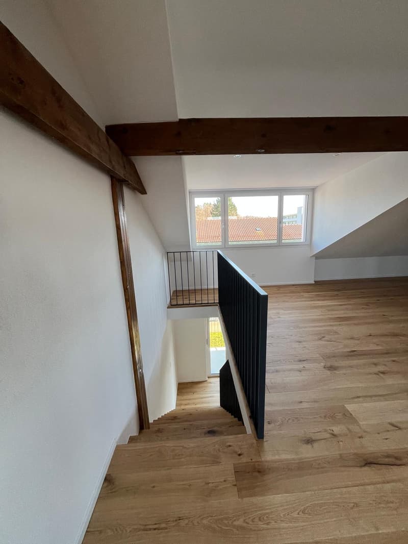 Dernier appartement maisonnette de 4,5 pièces (11)