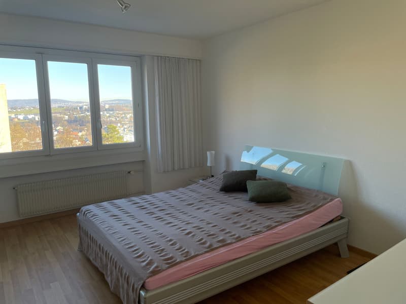 Appartamento esclusivo con terrazza e vista mozzafiato su Adliswil (9)